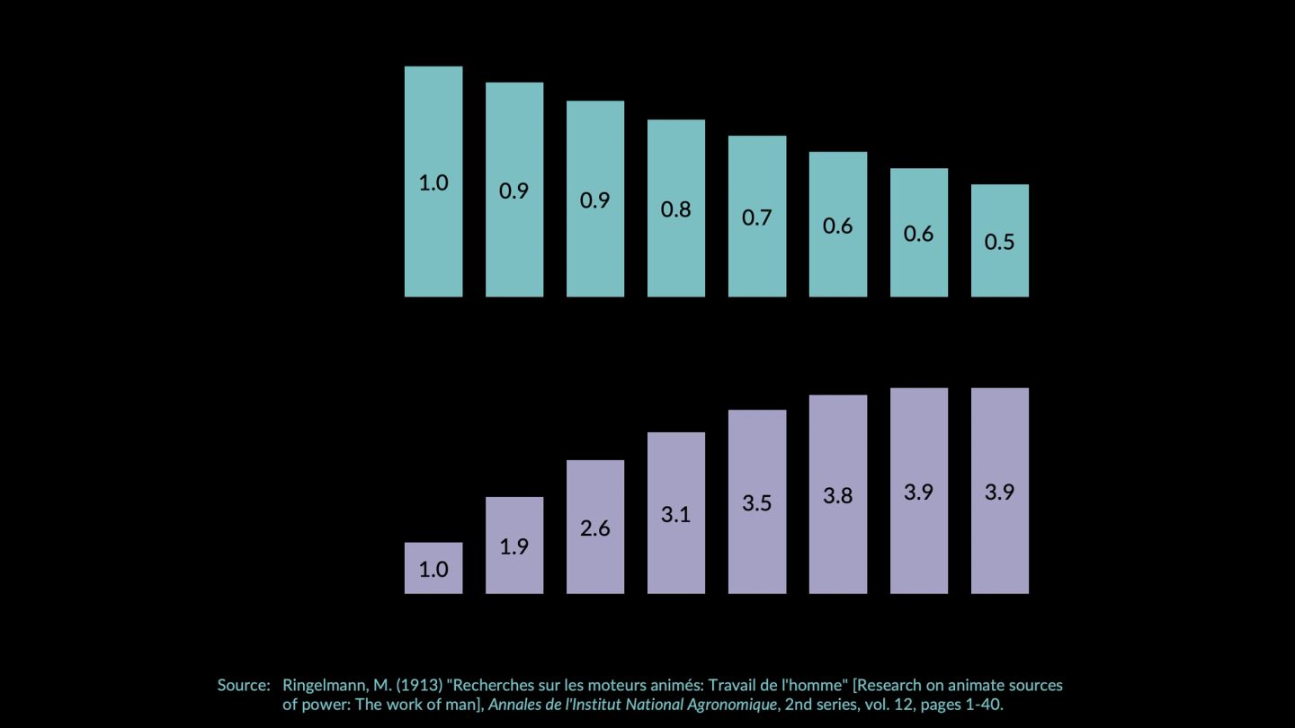 Two bar charts from Ringelmann's rope-pulling experiment, both running from one to eight people on the rope. The top chart, average per-person effort, falls steadily — 1.0, 0.9, 0.9, 0.8, 0.7, 0.6, 0.6, 0.5 — so by eight pullers each is contributing half of what one person alone contributes. The bottom chart, total force pulled, rises but flattens — 1.0, 1.9, 2.6, 3.1, 3.5, 3.8, 3.9, 3.9 — and the eighth person adds nothing at all. Sourced to Ringelmann, M. (1913) "Recherches sur les moteurs animés: Travail de l'homme", Annales de l'Institut National Agronomique, 2nd series, vol. 12, pages 1-40.