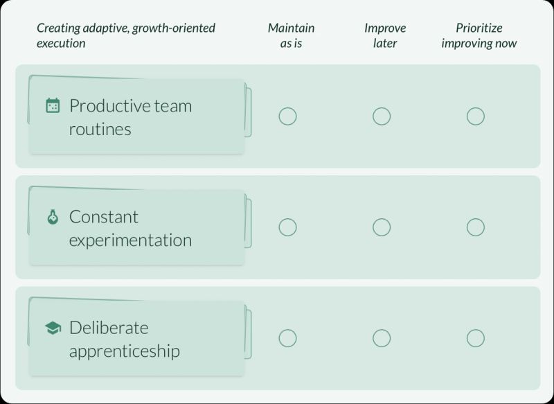 A Factor prioritization screen headed "Creating adaptive, growth-oriented execution". Three practices are listed as cards — productive team routines, constant experimentation, deliberate apprenticeship — and each offers the same three choices across the row: maintain as is, improve later, or prioritize improving now. Nothing is selected yet.