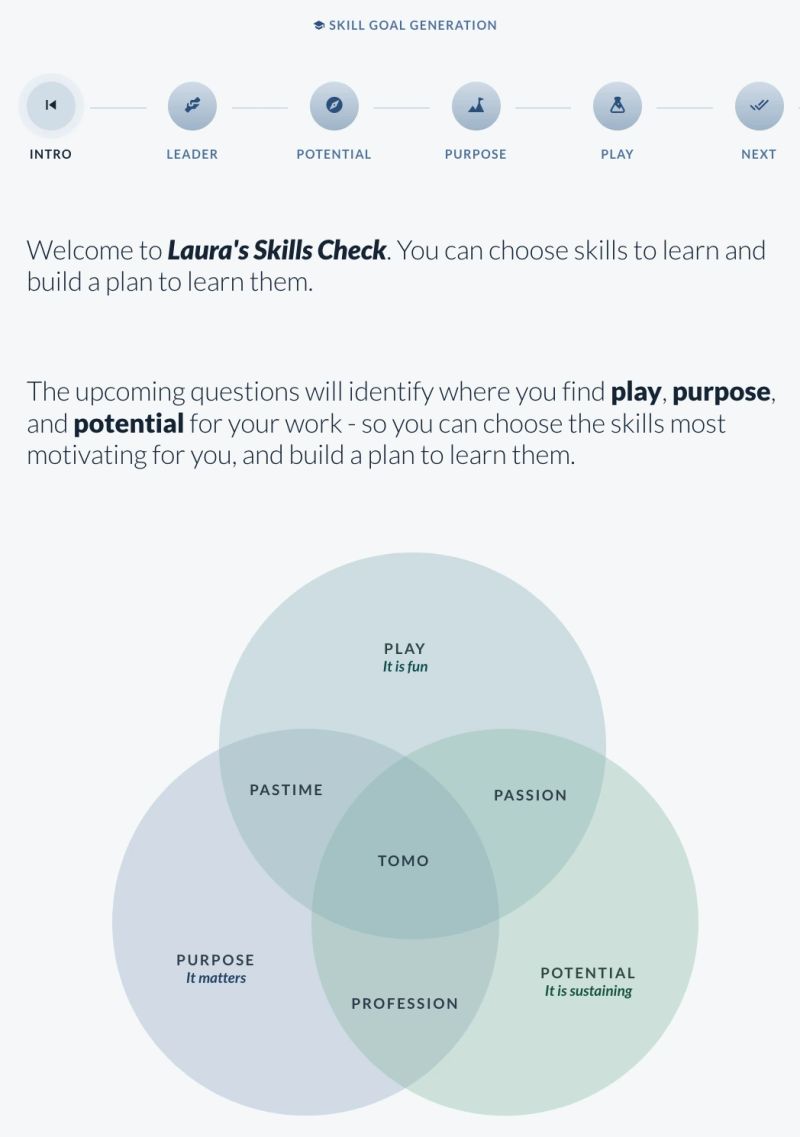The opening screen of a Skills Check, with a six-step progress bar running from intro through leader, potential, purpose and play. Below the welcome text, three overlapping circles show the direct motives: play because it is fun, purpose because it matters, and potential because it is sustaining, meeting at total motivation in the centre.