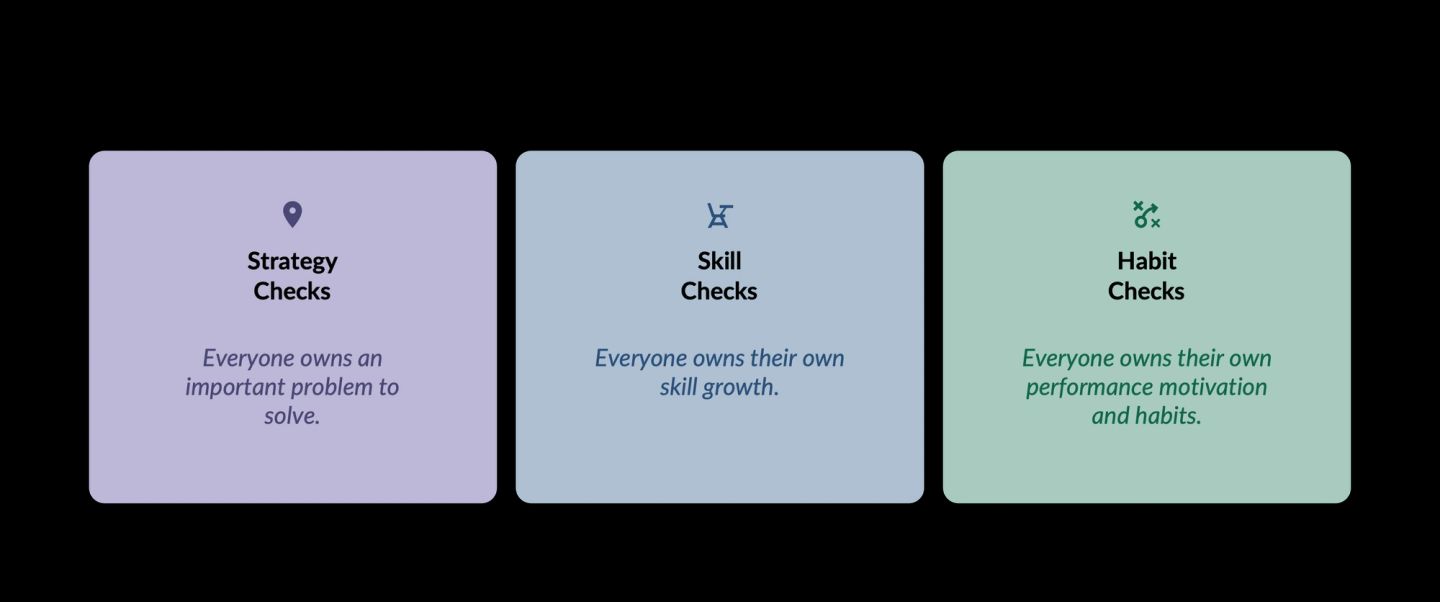 Three checks, each naming what an individual owns. A strategy check means everyone owns an important problem to solve. A skill check means everyone owns their own skill growth. A habit check means everyone owns their own performance motivation and habits.